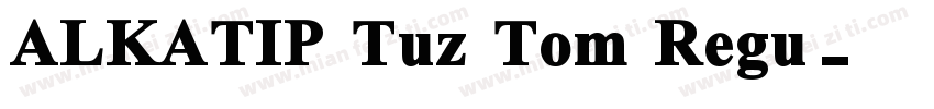 ALKATIP Tuz Tom Regu字体转换